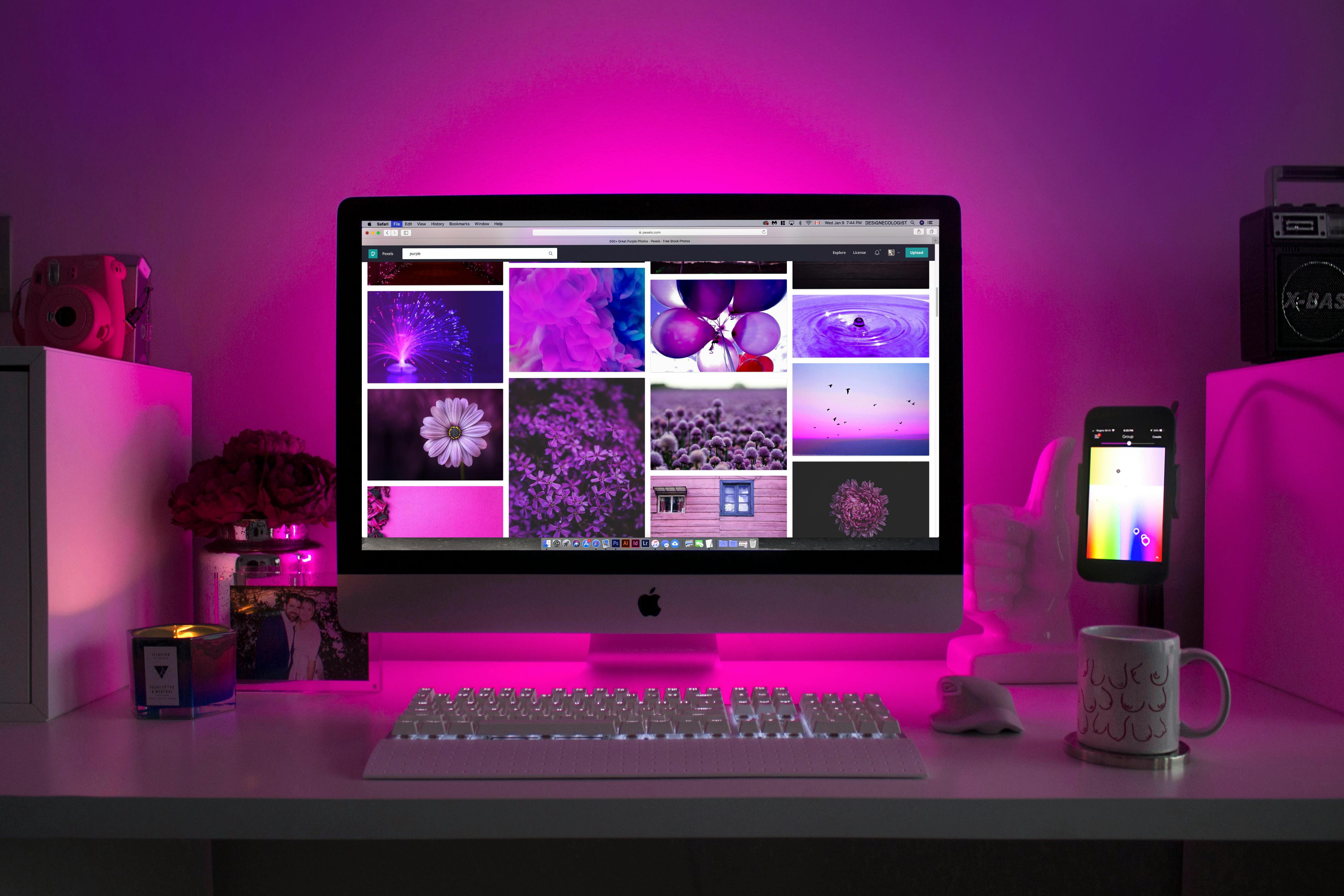 UI/UX Design & Branding